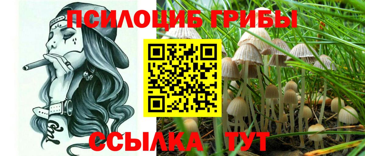 Галлюциногенные грибы Magic Shrooms Дзержинск