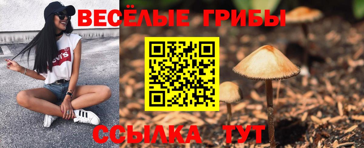 Дзержинск  Галлюциногенные грибы Psilocybine cubensis  Вход с VPN  Псилоцибиновые грибы мицелий 